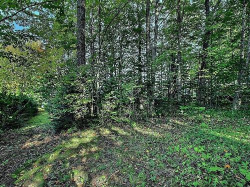 Land/Lot - 725 Ch. Maurais, Coaticook, QC 