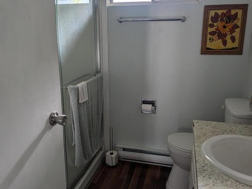 316 Aspen Drive, Chase, BC - Indoor Photo Showing Bathroom