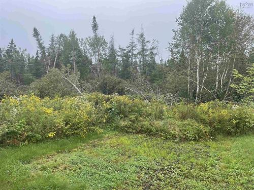 Lot 21 Goldenville Road, Goldenville, NS 