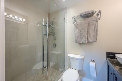 5545 Sawmill Road, Oliver, BC - Indoor Photo Showing Bathroom