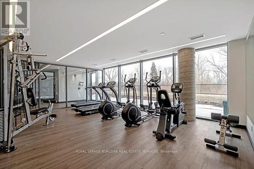 B407 - 5240 Dundas Street, Burlington (Orchard), ON - Indoor Photo Showing Gym Room