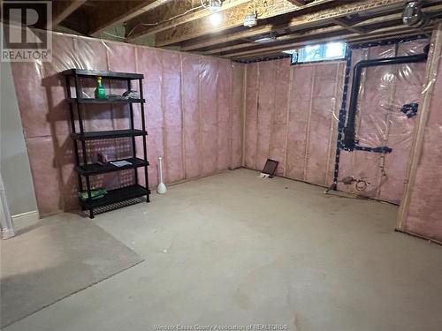 510 Water Rd, Amherstburg, ON - Indoor Photo Showing Basement