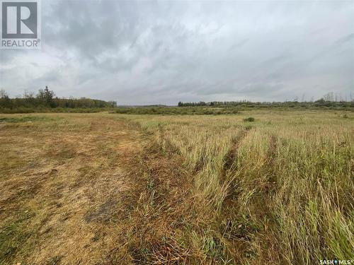 Picard Acreage, Paddockwood Rm No. 520, SK 