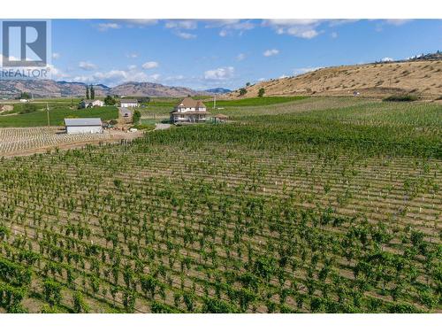 4535 Ryegrass Road, Oliver, BC - Outdoor With View