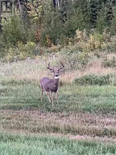 30 Marina Drive, Candle Lake, SK 