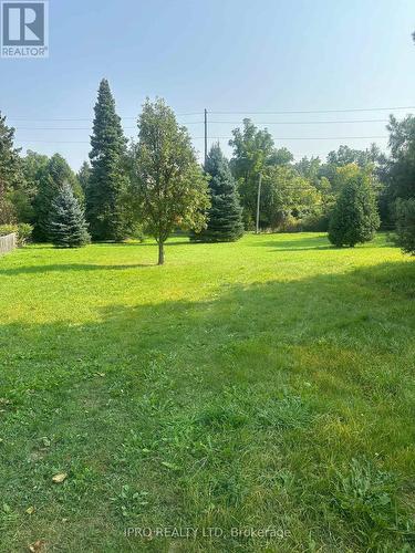 16 Scene Street, Halton Hills, ON - Outdoor With View