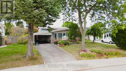 112 Buckingham Drive, Hamilton (Westcliffe), ON - Outdoor