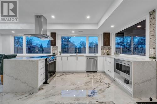 907 Reedmere Road, Windsor, ON - Indoor Photo Showing Kitchen With Upgraded Kitchen