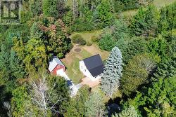 Drone View - Brand New Steel Roof and Mature Trees - 