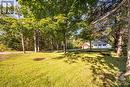 Front view with beautiful Mature Trees - 2713 Donnelly Drive, Ottawa, ON  - Outdoor 