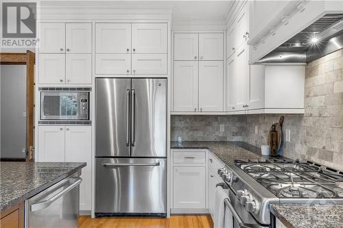 100 Fentiman Avenue, Ottawa, ON - Indoor Photo Showing Kitchen With Stainless Steel Kitchen With Upgraded Kitchen