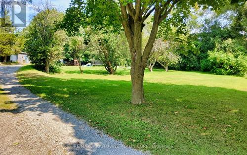 2386 4Th Line, Innisfil (Churchill), ON - Outdoor