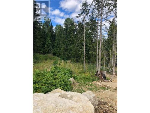 311 Ridge Road, Rossland, BC 