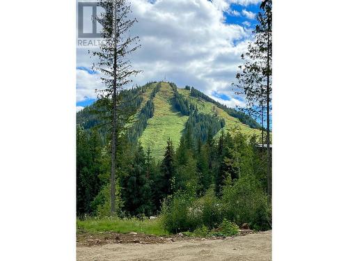 311 Ridge Road, Rossland, BC 