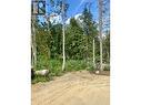 311 Ridge Road, Rossland, BC 