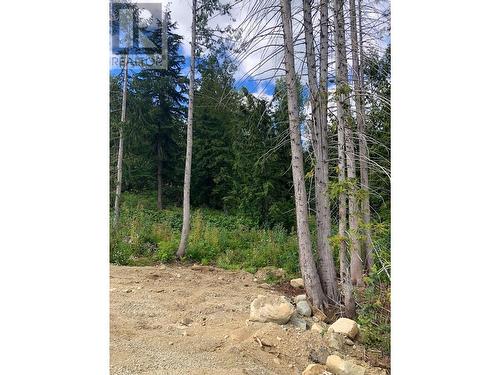 311 Ridge Road, Rossland, BC 