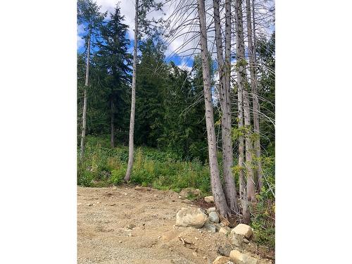 311 Ridge Road, Rossland, BC 