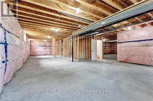 16 St Ladislaus Street, Norfolk, ON - Indoor Photo Showing Basement