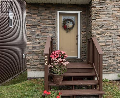 22 Augusta Court, St. John'S, NL - Outdoor