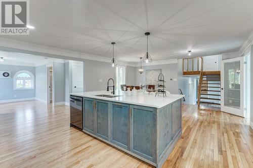 244 Main Road, Green'S Harbour, NL - Indoor Photo Showing Kitchen With Double Sink With Upgraded Kitchen