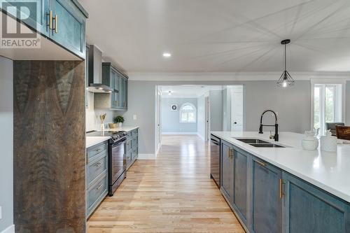 244 Main Road, Green'S Harbour, NL - Indoor Photo Showing Kitchen With Double Sink With Upgraded Kitchen