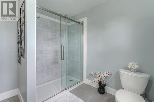 244 Main Road, Green'S Harbour, NL - Indoor Photo Showing Bathroom