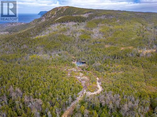 45 Witch Hazel Road, Portugal Cove - St Philips, NL - Outdoor With Body Of Water With View