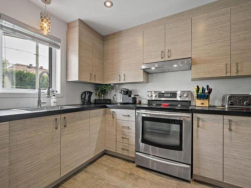 Cuisine - 113 Rue Remi-Franc, Blainville, QC - Indoor Photo Showing Kitchen With Double Sink