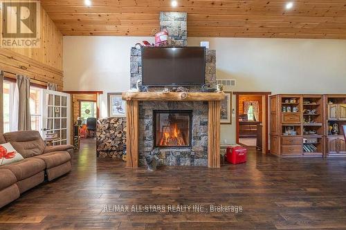 177 Ellwood Crescent, Galway-Cavendish And Harvey, ON - Indoor Photo Showing Living Room With Fireplace