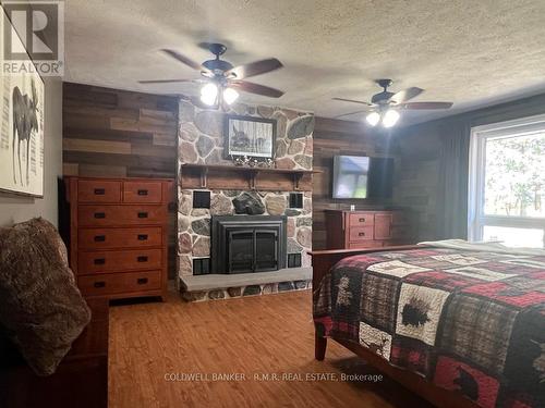 294 Seventh Concession Road W, Brant (Burford), ON - Indoor Photo Showing Bedroom With Fireplace