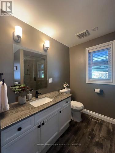 294 Seventh Concession Road W, Brant (Burford), ON - Indoor Photo Showing Bathroom