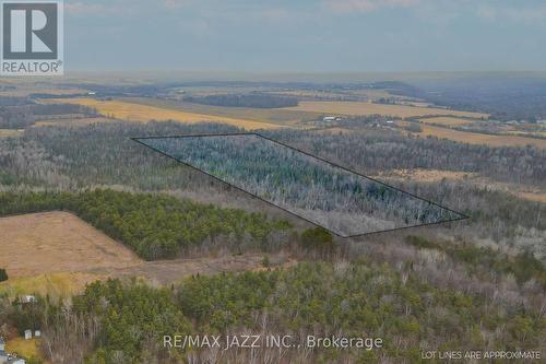 0 Ballyduff Road, Kawartha Lakes, ON 