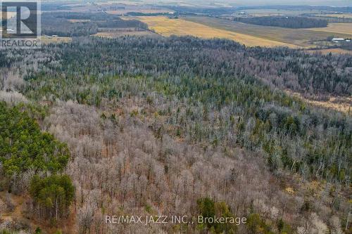 0 Ballyduff Road, Kawartha Lakes, ON 