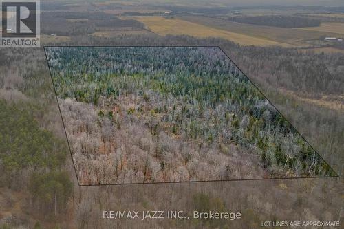 0 Ballyduff Road, Kawartha Lakes, ON 