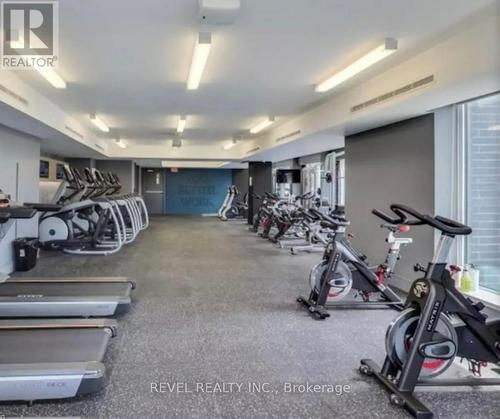 730 - 20 Minowan Miikan Lane, Toronto (Little Portugal), ON - Indoor Photo Showing Gym Room