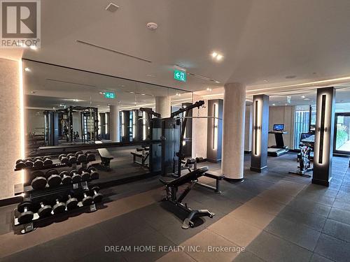 905 - 270 Dufferin Street, Toronto (South Parkdale), ON - Indoor Photo Showing Gym Room