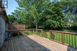 Back Deck - 