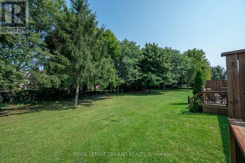 Backyard greenspace - 60 - 44 Edgevalley Road, London, ON - Outdoor