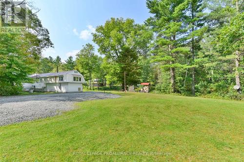 174 Cottage Lane, Tweed, ON - Outdoor