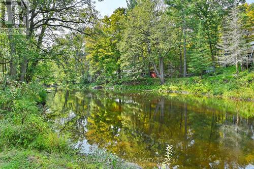 174 Cottage Lane, Tweed, ON - Outdoor