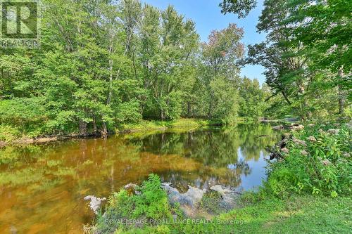 174 Cottage Lane, Tweed, ON - Outdoor