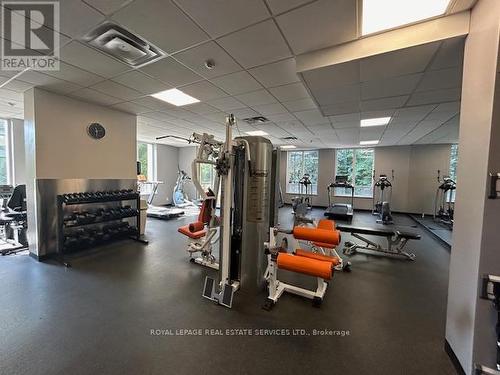 1202 - 256 Doris Avenue, Toronto (Willowdale East), ON - Indoor Photo Showing Gym Room