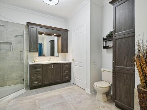 Ensuite bathroom - 16 Rue Du Boisé-Normand, Sainte-Anne-Des-Plaines, QC - Indoor Photo Showing Bathroom