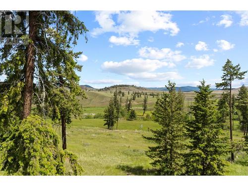 4805 Foley Road, Kamloops, BC - Outdoor With View