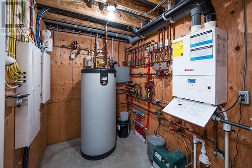 569 Alward Street, Prince George, BC - Indoor Photo Showing Basement