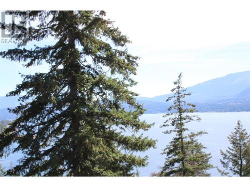 Lot B View Road, Lee Creek, BC 