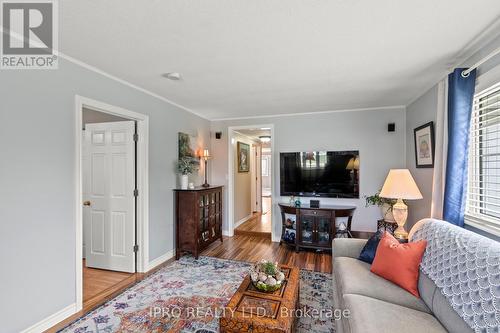 282204 Concession 4 5, East Luther Grand Valley, ON - Indoor Photo Showing Living Room