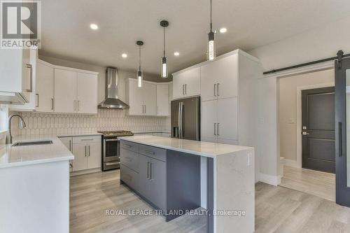 51 Elliott Street, Strathroy-Caradoc (Se), ON - Indoor Photo Showing Kitchen With Upgraded Kitchen