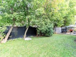 Backyard - 