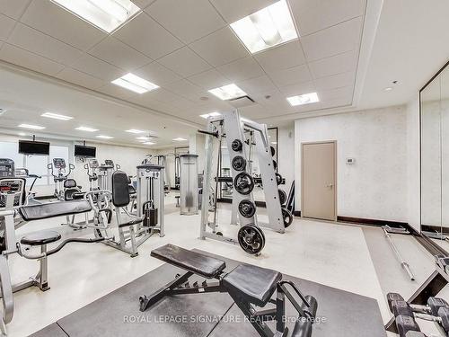 306-1060 Sheppard Ave W, Toronto, ON - Indoor Photo Showing Gym Room